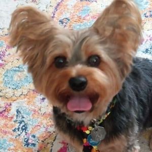 Meet your Posher, Kathryn